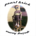 Purchase Pearl Brick MP3