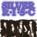 Purchase Silver R.I.S.C. MP3