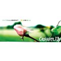 Purchase Cesium 137 MP3