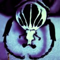 Purchase The Age Of Electric MP3
