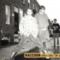Purchase Raccoon MP3