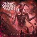 Purchase Shrine Of Malice MP3