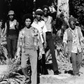 Purchase The Wailing Wailers MP3