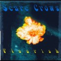 Purchase Scare Crows MP3