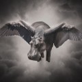 Purchase Tom Morello MP3