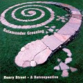 Purchase Salamander Crossing MP3