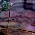 Purchase Rapoon & Birds Of Tin MP3