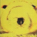 Purchase David Coulter, Michael Gira, Jean Marie Mathoul & Charlemagne Palestine MP3
