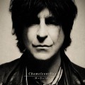 Purchase ChameleonsVox MP3