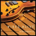 Purchase Vibes Alive MP3