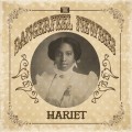 Purchase The Dangerfeel Newbies MP3