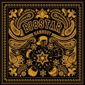 Purchase Bigstar MP3