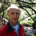 Purchase Dennis Johnson MP3