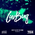 Purchase Luvbug MP3