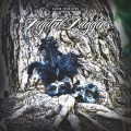 Purchase Digital Daggers MP3