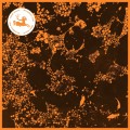 Purchase Downliners Sekt MP3