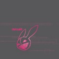 Purchase Rabbit Junk MP3