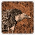 Purchase The Heavy Horses MP3
