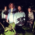 Purchase Skogen Brinner MP3