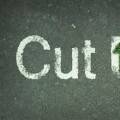 Purchase Cut Up MP3