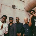 Purchase Irreversible Entanglements MP3