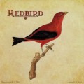 Purchase Redbird MP3