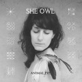 Purchase She Owl MP3