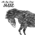 Purchase The Big Sleep MP3