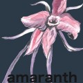 Purchase Amaranth MP3