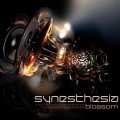 Purchase Synesthesia MP3