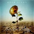 Purchase Boog Brown MP3