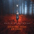 Purchase David Wallimann MP3