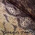 Purchase Markus James MP3