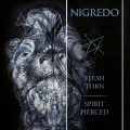 Purchase Torn Flesh MP3