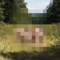 Purchase The Hotelier MP3