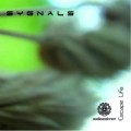 Purchase Sygnals MP3