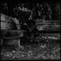 Purchase Sculptor MP3