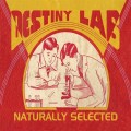 Purchase Destiny Lab MP3