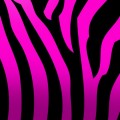 Purchase Pinkzebra MP3