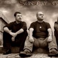 Purchase Sensory Gate MP3