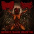 Purchase Coprocephalic MP3