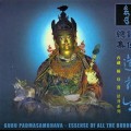 Purchase Namdrol Rinpoche MP3