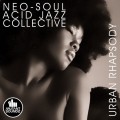 Purchase Neo Soul Acid Jazz Collective MP3