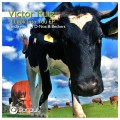 Purchase Victor Ruiz MP3