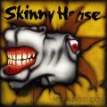 Purchase Skinny Horse MP3