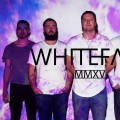 Purchase Whitefall MP3