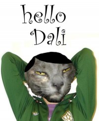 Hello Dali
