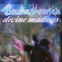 Divine Madness
