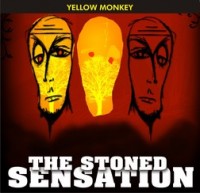 The Stoned Sensation