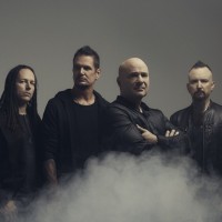 Disturbed